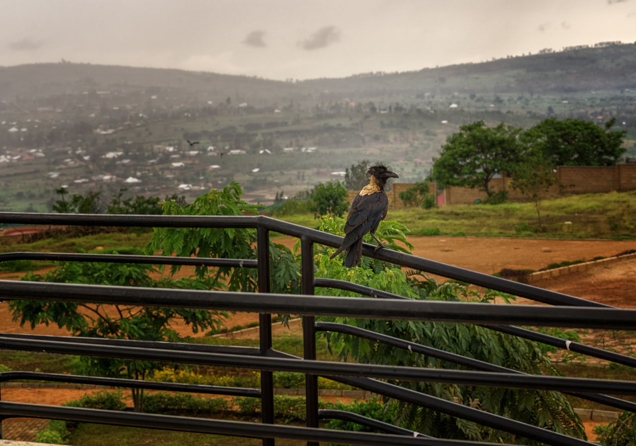 Visiting Rwanda