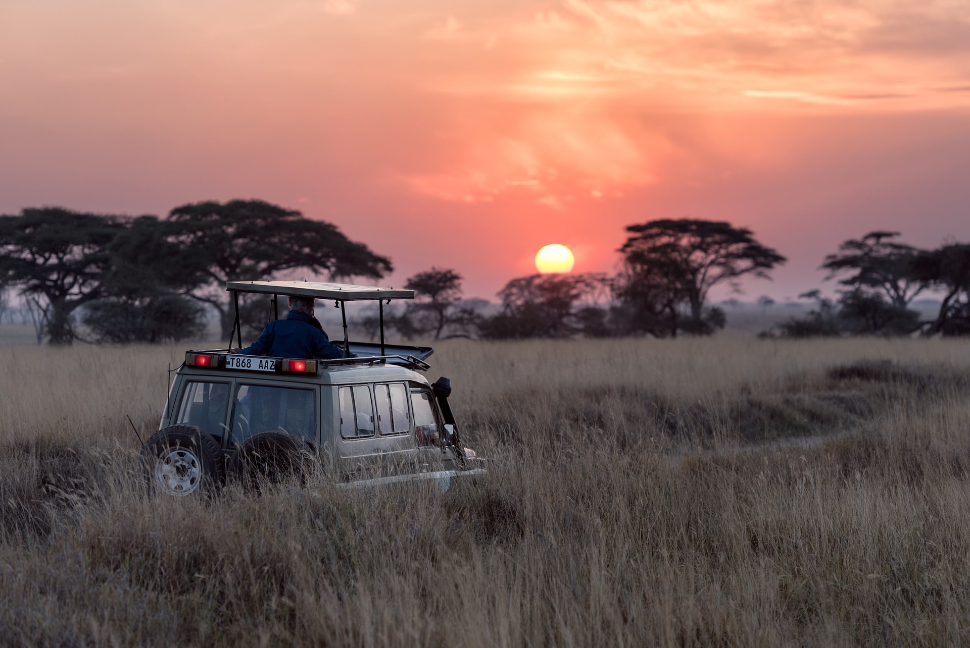 pack for safari